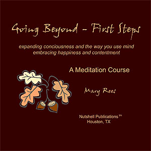 First Steps - An Introduction to Meditation for Professionals